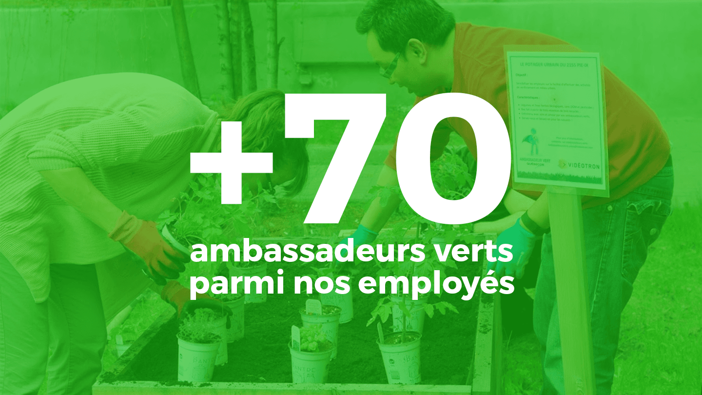 Les ambassadeurs verts